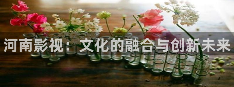 大地影视中文第二页官网：河南影视：文化的融合与创新未来