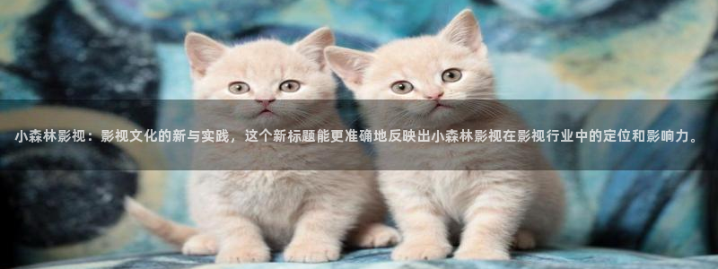 大地二免费观看高清版：小森林影视：影视文化的新与实践，这个新标题能更准确地反映出小森林影视在影视行业中的定位和影响力。