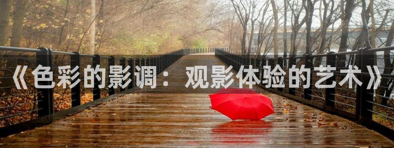 济南大地电影院：《色彩的影调：观影体验的艺术》