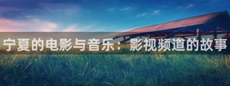 鹤壁大地影院影讯：宁夏的电影与音乐：影视频道的故事